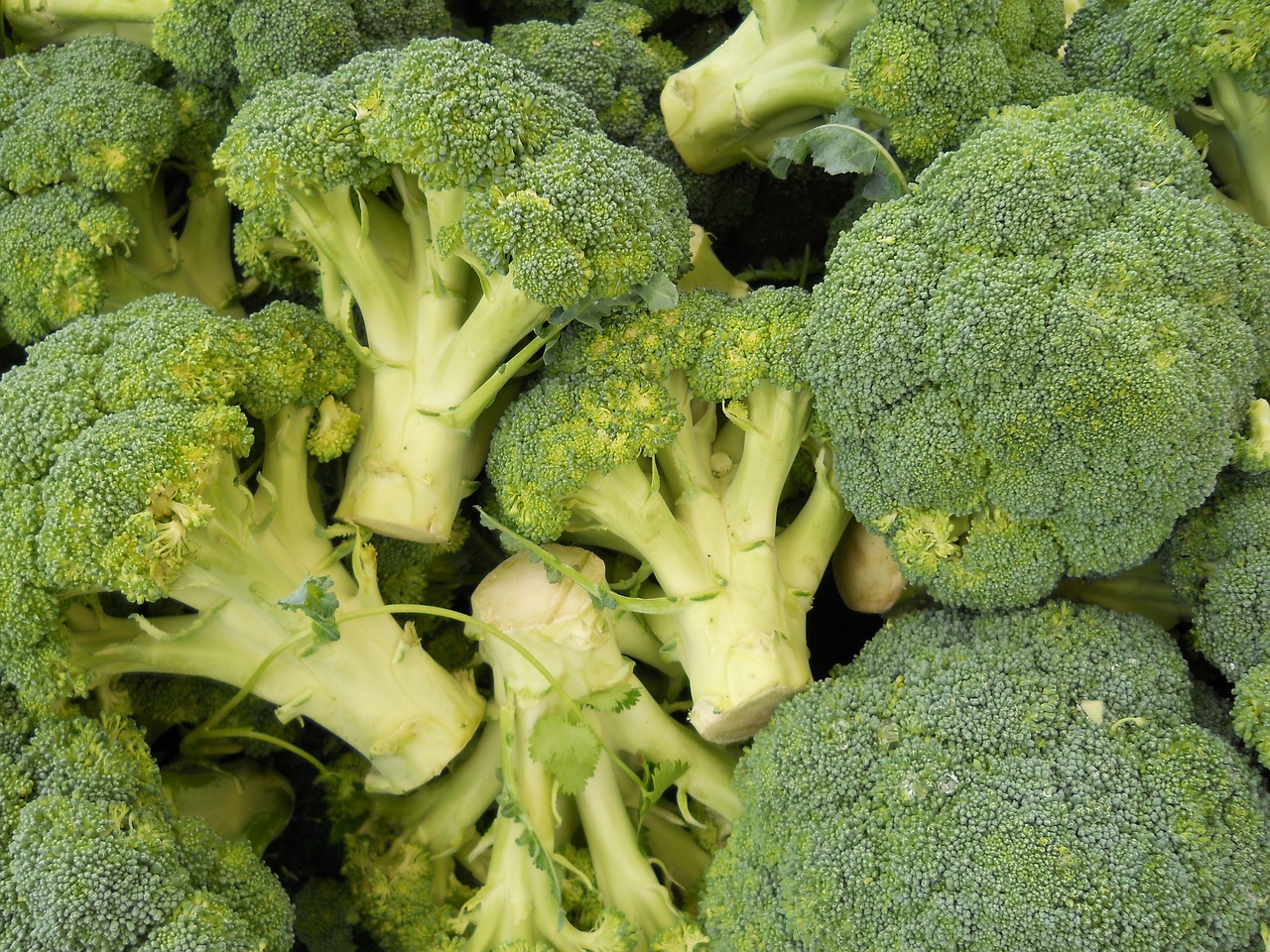 craving broccoli