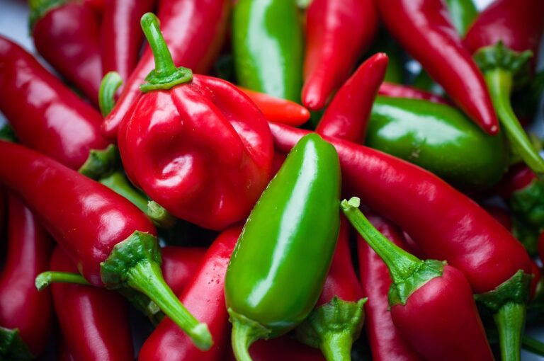Discover 10 Hot Reasons Why You Are Craving Jalapenos