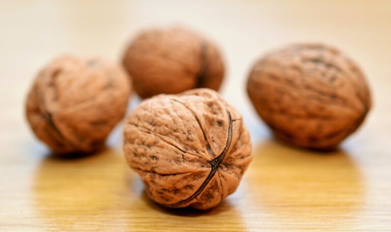 Craving Walnuts? Discover 10 Reasons Why