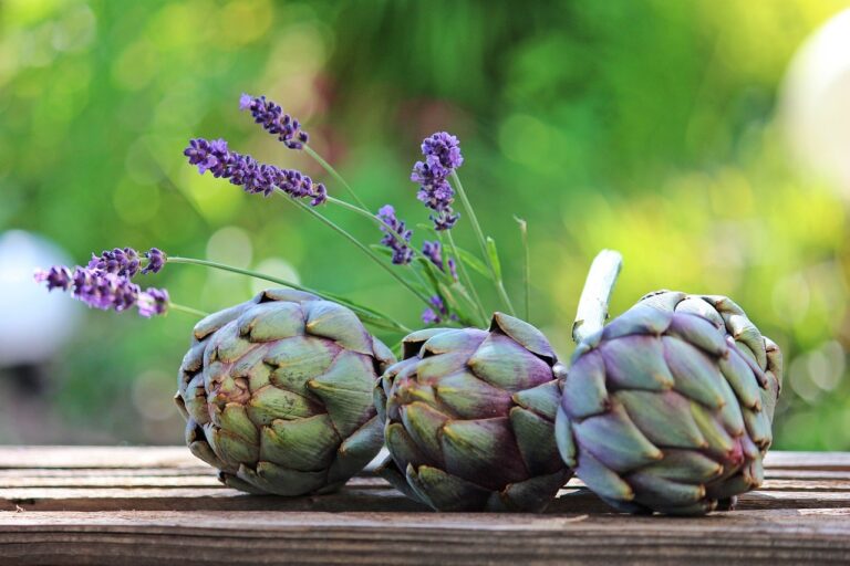 10 Surprising Reasons Why You Are Craving Artichokes
