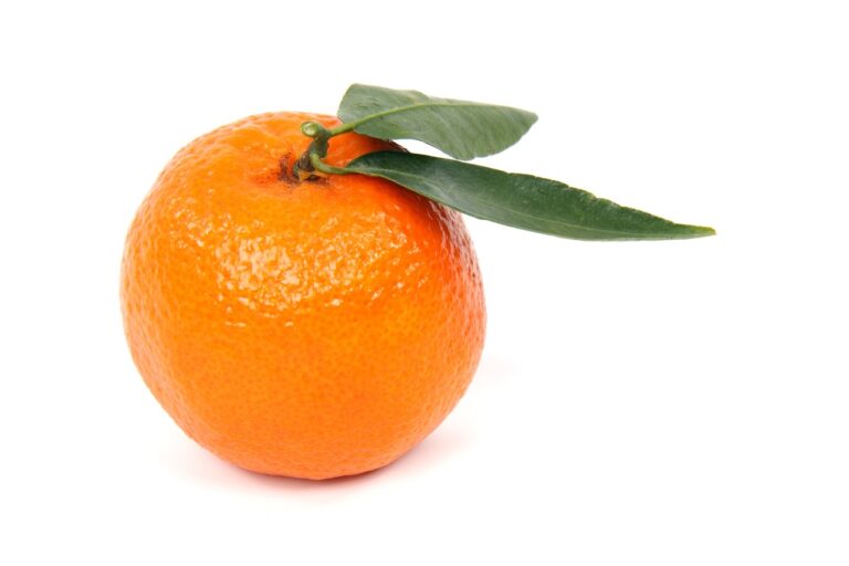 10 Enticing Reasons Why You Are Craving Clementines