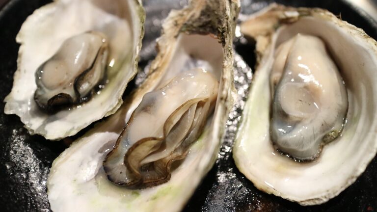9 Interesting Reasons Why You Are Craving Oysters