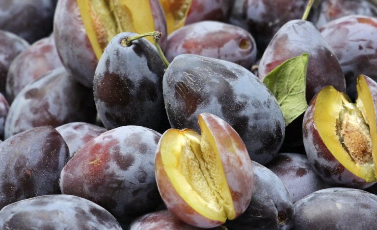 Craving Plums: Here Are 10 Reasons Why